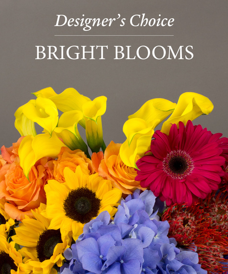 Bright Designer's Choice Blooms